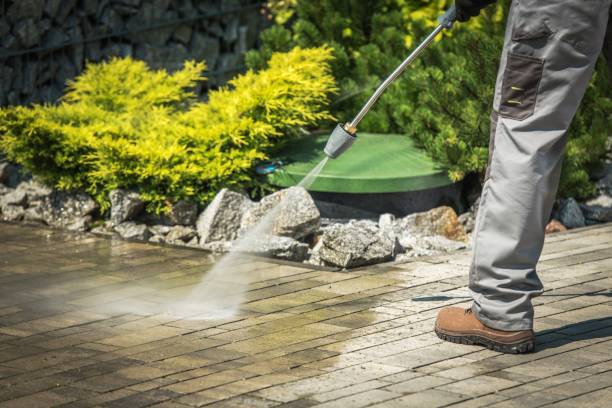 Best Winterizing Services  in Harrison, NJ