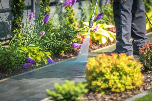 Best House Exterior Washing  in Harrison, NJ