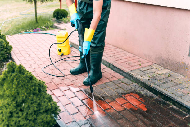 Best Soft Washing  in Harrison, NJ